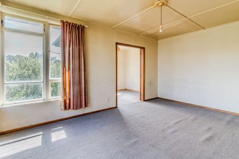 Photo of property in 18 Panmure Avenue, Calton Hill, Dunedin, 9012