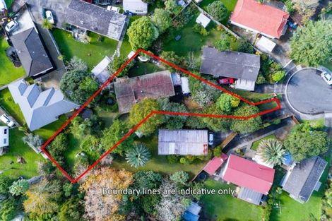 Photo of property in 29 Mawney Road, Henderson, Auckland, 0610