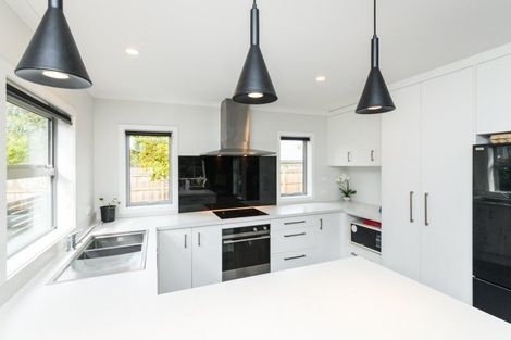 Photo of property in 83b Fitzroy Street, Terrace End, Palmerston North, 4410