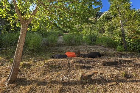 Photo of property in 20 Douglas Street, Okitu, Gisborne, 4010