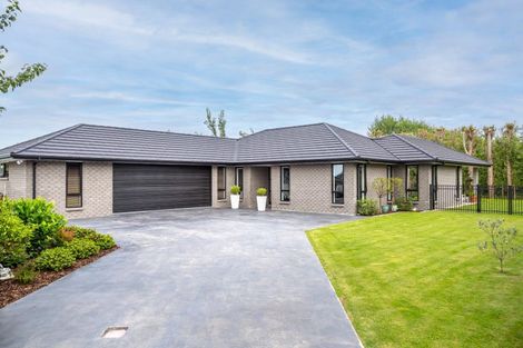 Photo of property in 37 Westwood Avenue, Greytown, 5712