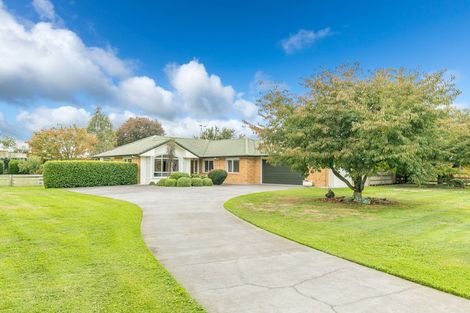 Photo of property in 12 Shadbolt Drive, Leamington, Cambridge, 3432