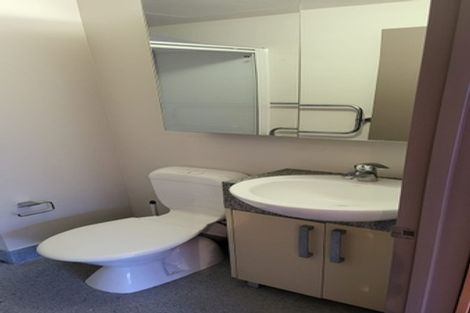 Photo of property in Dual Apartments, 108/142 Vivian Street, Te Aro, Wellington, 6011