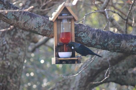 Photo of property in 1266 Egmont Road, Egmont Village, New Plymouth, 4372