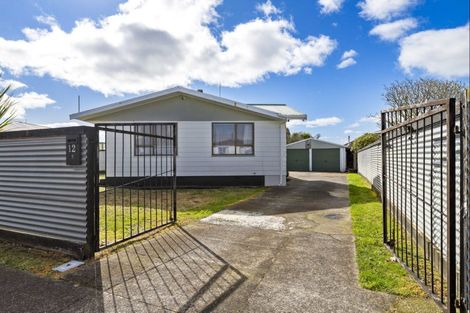 Photo of property in 12 Exeter Street, Stratford, 4332