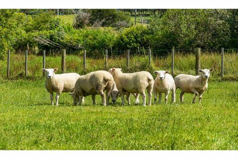 Photo of property in 34 Lascelles Drive, Dairy Flat, Albany, 0794