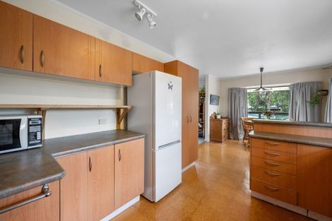 Photo of property in 21 Ballarat Avenue, Naseby, Ranfurly, 9396