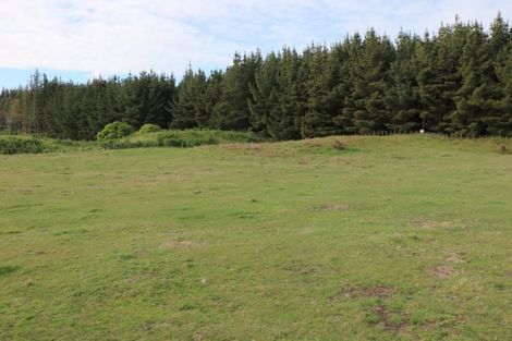 Photo of property in 10 Maury Place Foxton Horowhenua District