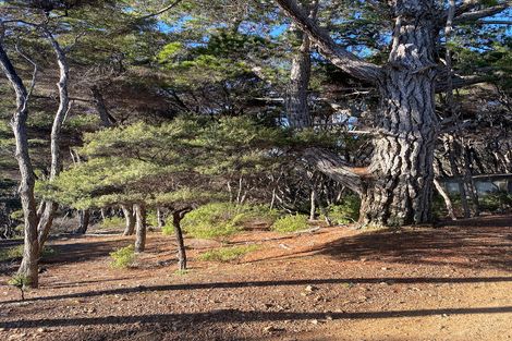 Photo of property in 19 Woods Ridge Road, Kawau Island, 0920