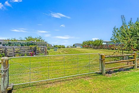 Photo of property in 36 Shakespeare Road, Bastia Hill, Whanganui, 4500