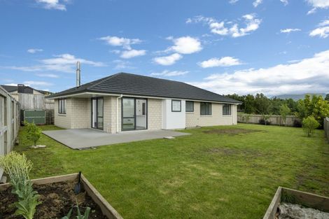 Photo of property in 40 Tynan Street, Te Puke, 3119