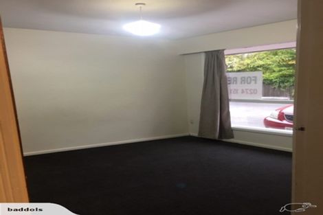Photo of property in 60 Carlton Mill Road, Merivale, Christchurch, 8014