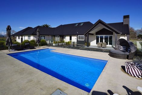 Photo of property in 298 Marshmeadow Road, Newstead, Hamilton, 3286