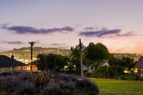 Photo of property in 38 Carlton Road, Pukekohe, 2120