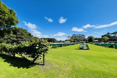 Photo of property in 2/792 No 2 Road, Te Ranga, Te Puke, 3182