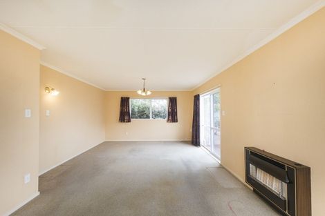 Photo of property in 10 Millar Street, Terrace End, Palmerston North, 4410