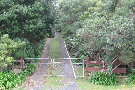 Photo of property in 103 Grange Road, Hahei, Whitianga, 3591