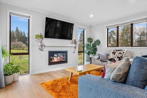 Photo of property in 21 Copper Beach Road, Woodend, Kaiapoi, 7691