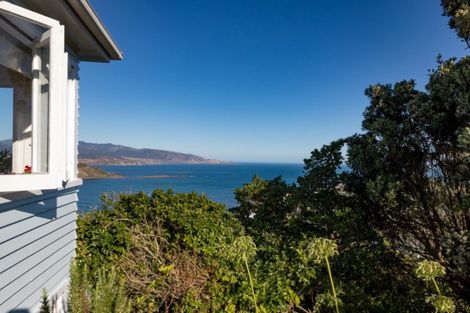 Photo of property in 60 Hornsey Road, Melrose, Wellington, 6023