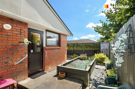 Photo of property in 13b Grove Street, Saint Kilda, Dunedin, 9012