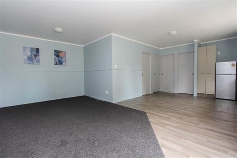 Photo of property in 55 York Street, Hamilton East, Hamilton, 3216