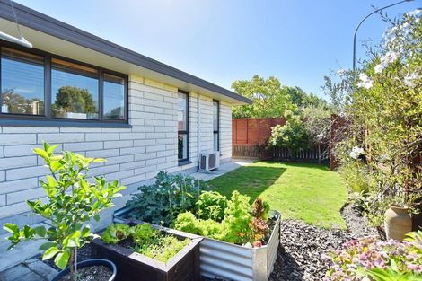 Photo of property in 53 Victoria Street, Rangiora, 7400