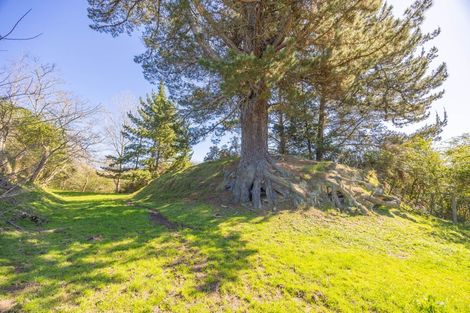 Photo of property in 7 Ngahuia Place, Tokanui, Te Awamutu, 3874