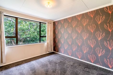 Photo of property in 19 Talbot Street, East Gore, Gore, 9710