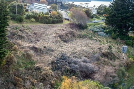 Photo of property in 19 Kea Street, Saint Leonards, Dunedin, 9022