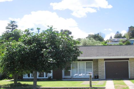 Photo of property in 37 Perry Street, Mangapapa, Gisborne, 4010