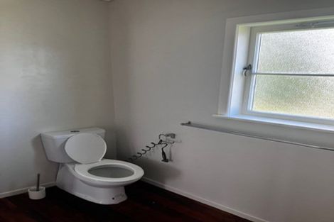 Photo of property in 59 Hutchinson Avenue, New Lynn, Auckland, 0600