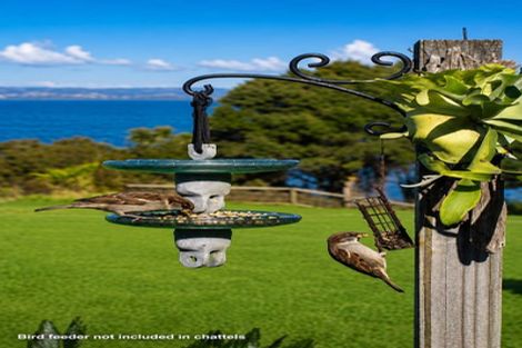 Photo of property in 96 Omana Avenue, Shelly Beach, South Head, 0874