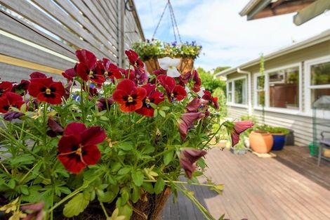 Photo of property in 207 Darraghs Road, Brookfield, Tauranga, 3110