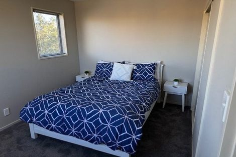 Photo of property in 145 Purchas Street, Edgeware, Christchurch, 8013