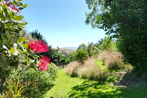 Photo of property in 63 Sandymount Road, Sandymount, Dunedin, 9077