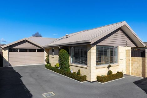 Photo of property in 17a Dillon Street, Blenheim, 7201
