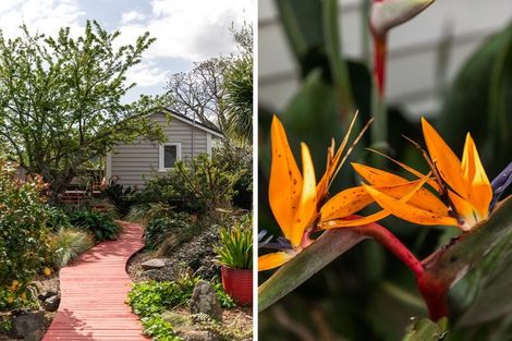 Photo of property in 115 Fenton Street, Thames, 3500