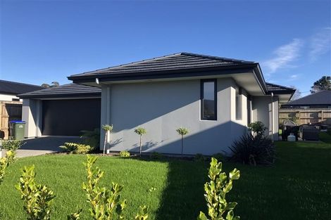 Photo of property in 19 Travers Avenue, Richmond, 7020