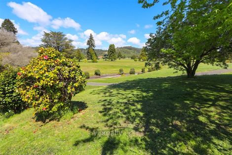 Photo of property in 16 Gwendoline Street, Glenholme, Rotorua, 3010