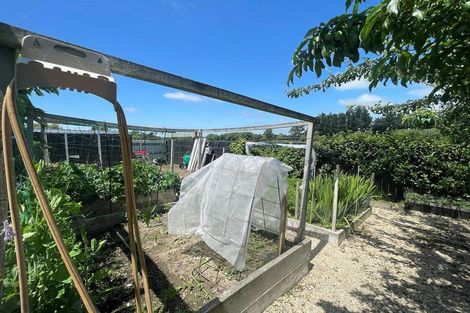 Photo of property in 19 Eric Batchelor Place, Waimate, 7924