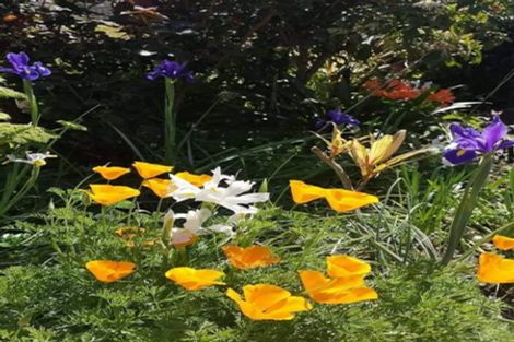 Photo of property in 9 Chestnut Grove, Tairua, 3508