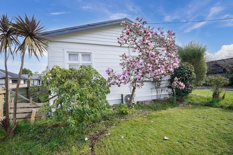Photo of property in 102 Ross Street, Grasmere, Invercargill, 9810
