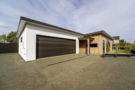 Photo of property in 61 Meadowstone Street, Gleniti, Timaru, 7910