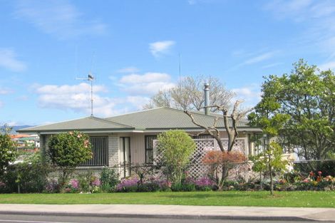 Photo of property in 149 Ohauiti Road, Hairini, Tauranga, 3112