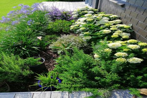 Photo of property in 55c Pukakura Road, Katikati, 3178