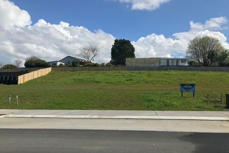 Photo of property in 17 Musselwhite Terrace, Chartwell, Hamilton, 3210