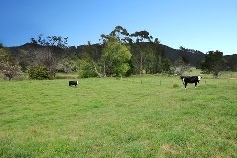 Photo of property in 805 Woodcocks Road, Kaipara Flats, Warkworth, 0981