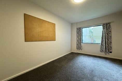 Photo of property in Te Awhina Apartments, 3/22 Sussex Street, Mount Cook, Wellington, 6021