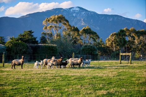Photo of property in 399a Inland Kaikoura Road, Inland Road, Kaikoura, 7373