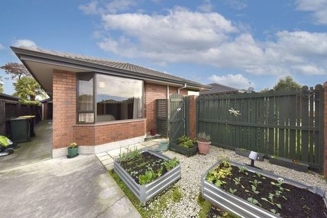 Photo of property in 42a Victoria Street, Rangiora, 7400